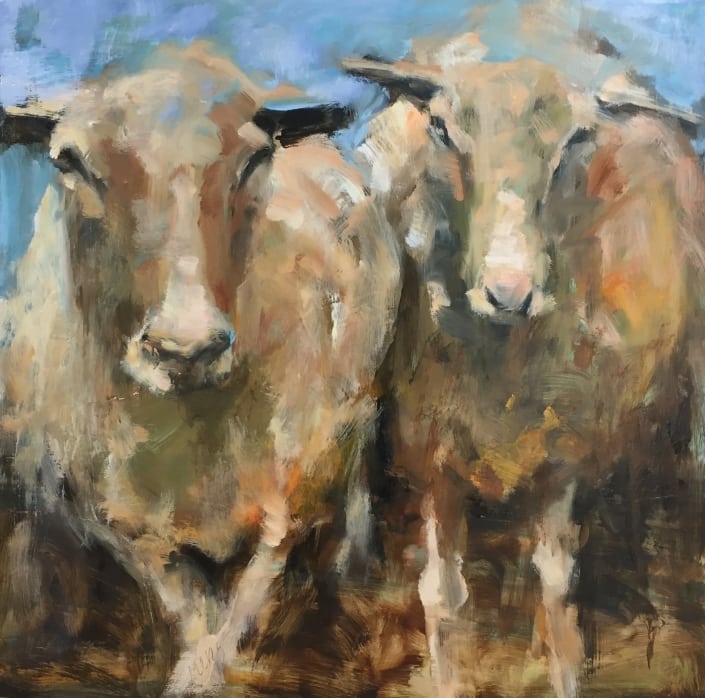 2 Schapen