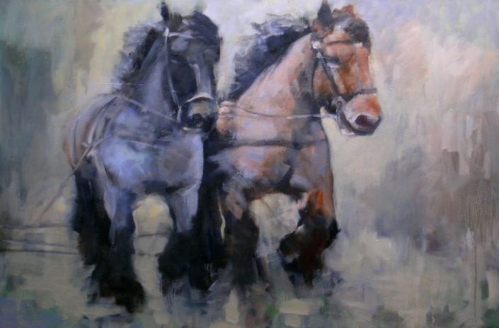 Belgische paarden Belgische paarden